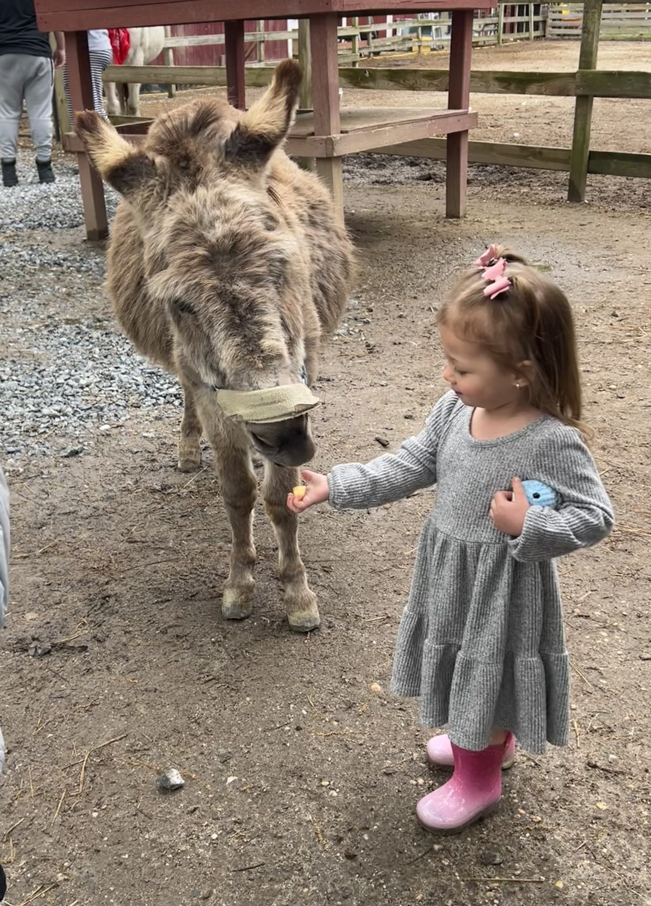 Funny Farm Spring Festival
