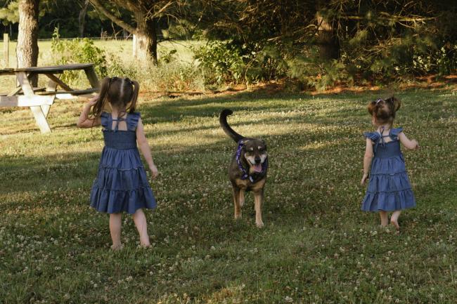 Children and Dog playing