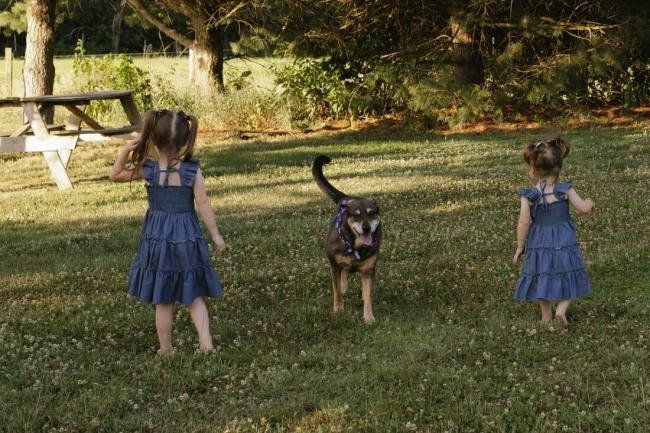 Two young girls playing outside with their dog