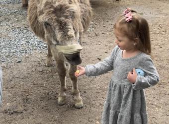 Funny Farm Spring Festival